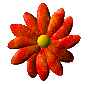 Blume